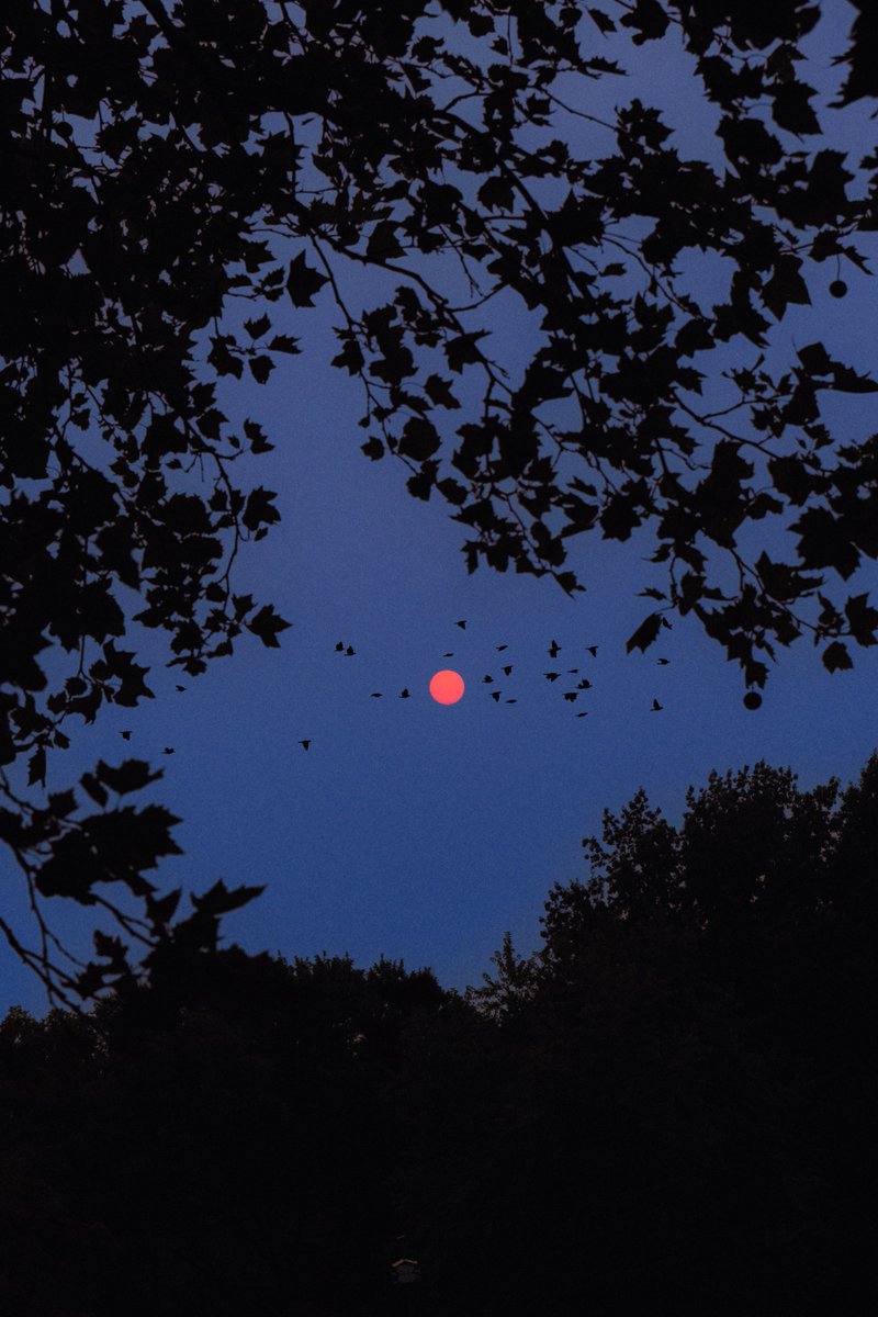 Alex Kittoe tweet media