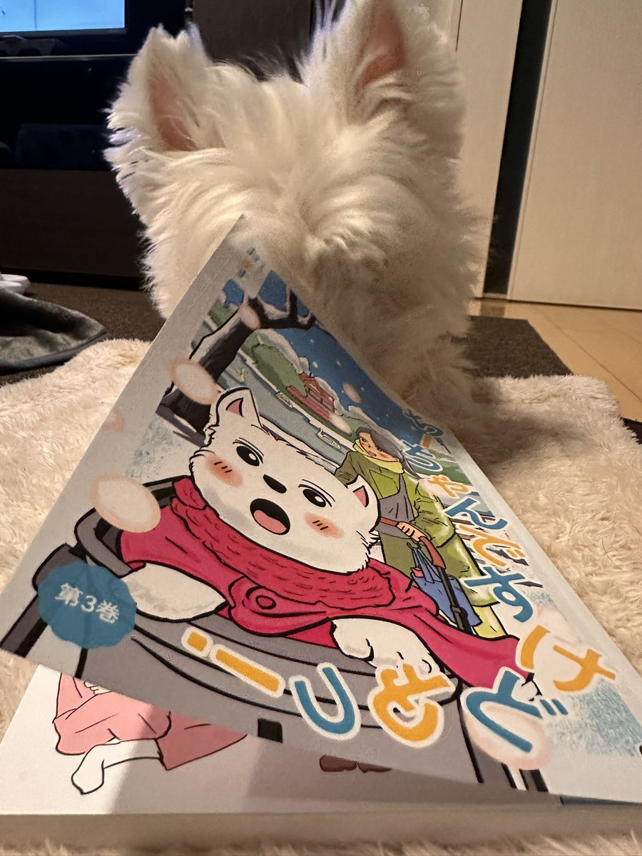 ちーちゃんですけどもっ第3巻予約発売中です❗️ (@ymc_cheezu