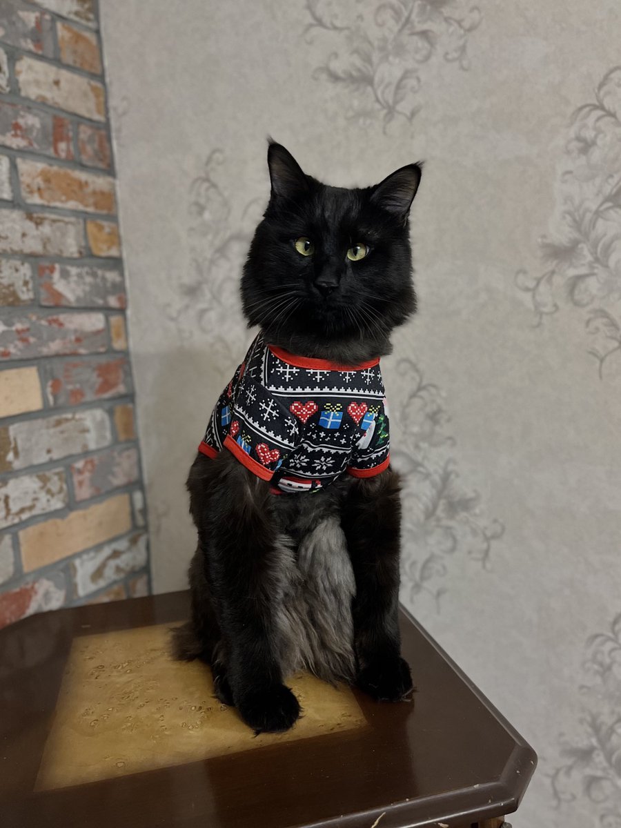 متاسفانه سایز لباس کریسمس پسرم مناسب نبود…