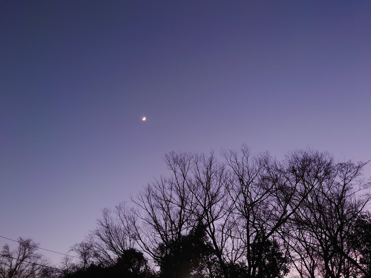 ちさと(快便ちゃん) tweet media