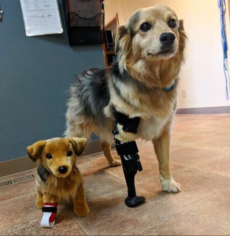 Please don’t pass without leaving a heart ❤️