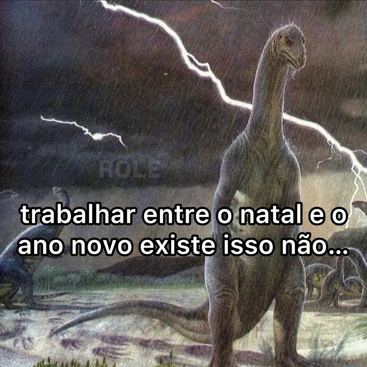 Rolê Aleatório (@rolealeatorio) on Twitter photo 