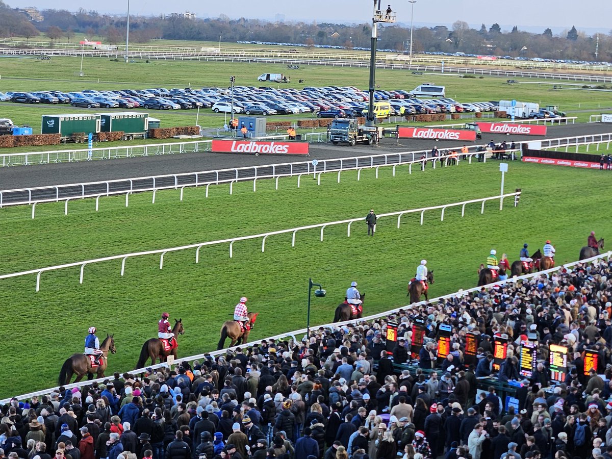 No hiding place from a bloomin' cold wind up this high but a very privileged viewing position to watch an epic King George. This was the parade beforehand, led by lovely Coneygree.