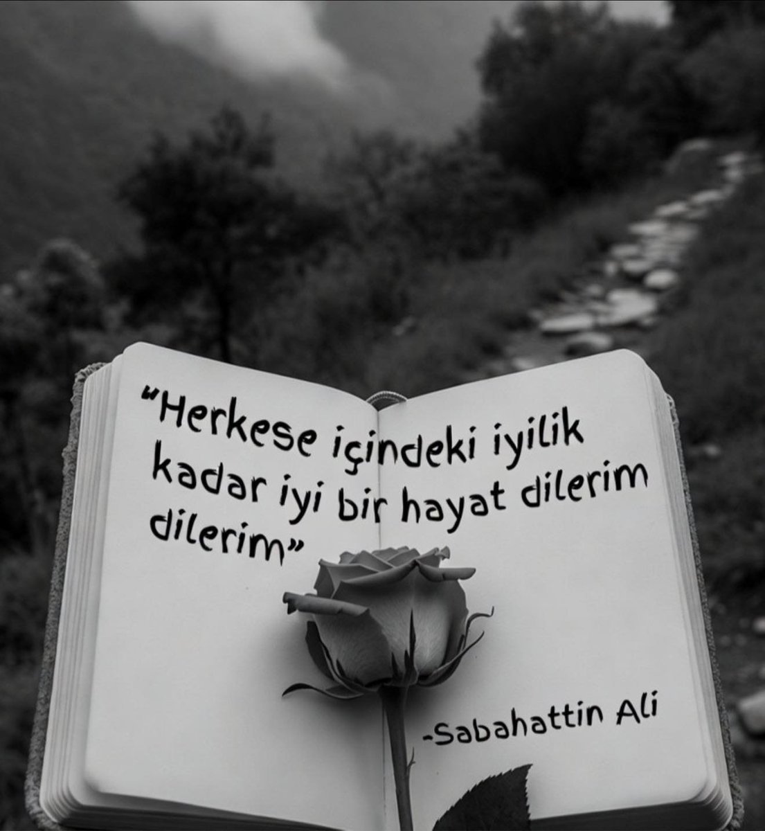 aydın öcalan (@ocalanayd) on Twitter photo 