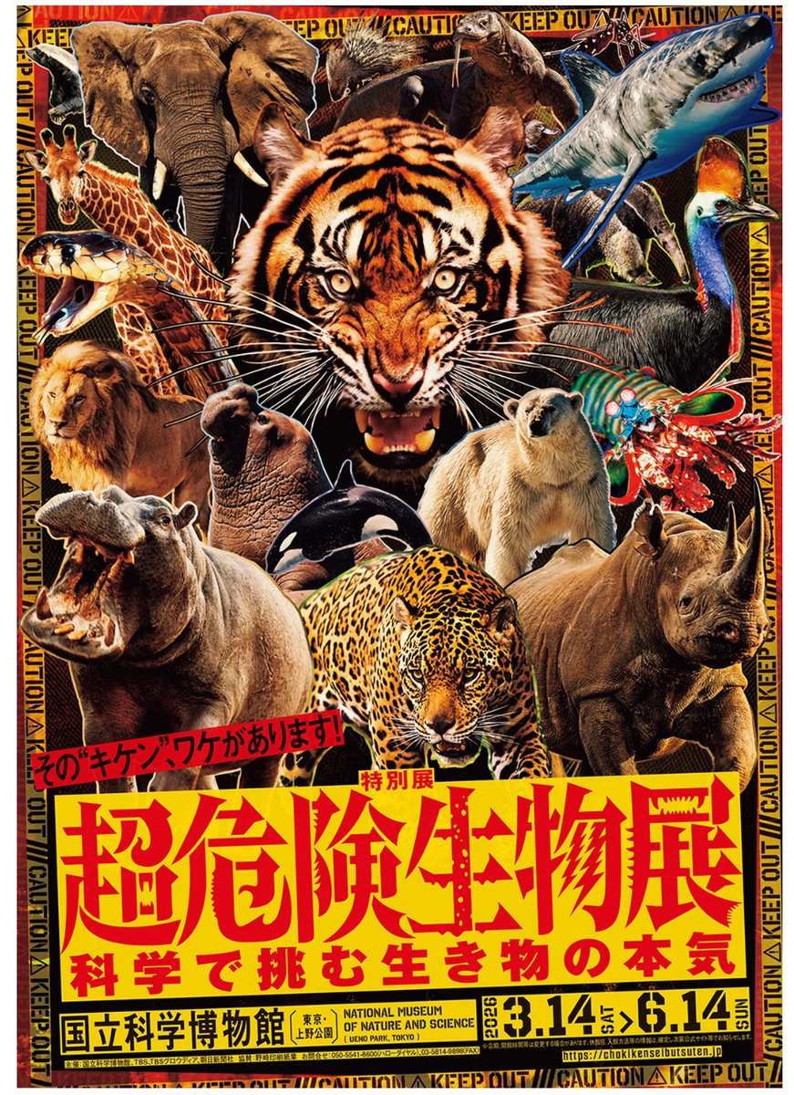 art_ex_japan's tweet image. 【プレビュー】特別展「超危険生物展　科学で挑む生き物の本気」国立科学博物館(東京・上野公園)で3月14日(土)から

強大なパワー、鋭い牙、猛毒、電撃――人間には決して真似できない特殊能力のメカニズムを、多角的な手法を駆使してご紹介します。 artexhibition.jp/topics/news/20…