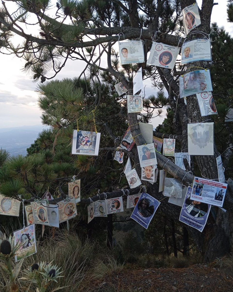 La desgarradora realidad de nuestro país… Un usuario compartió en redes esta imagen que se encontró al subir al Pico del Águila en el Ajusco, un lugar que era de recreación, para estar en contacto con la naturaleza y donde tristemente hoy reina el crim3n organizado 💔
No nos
