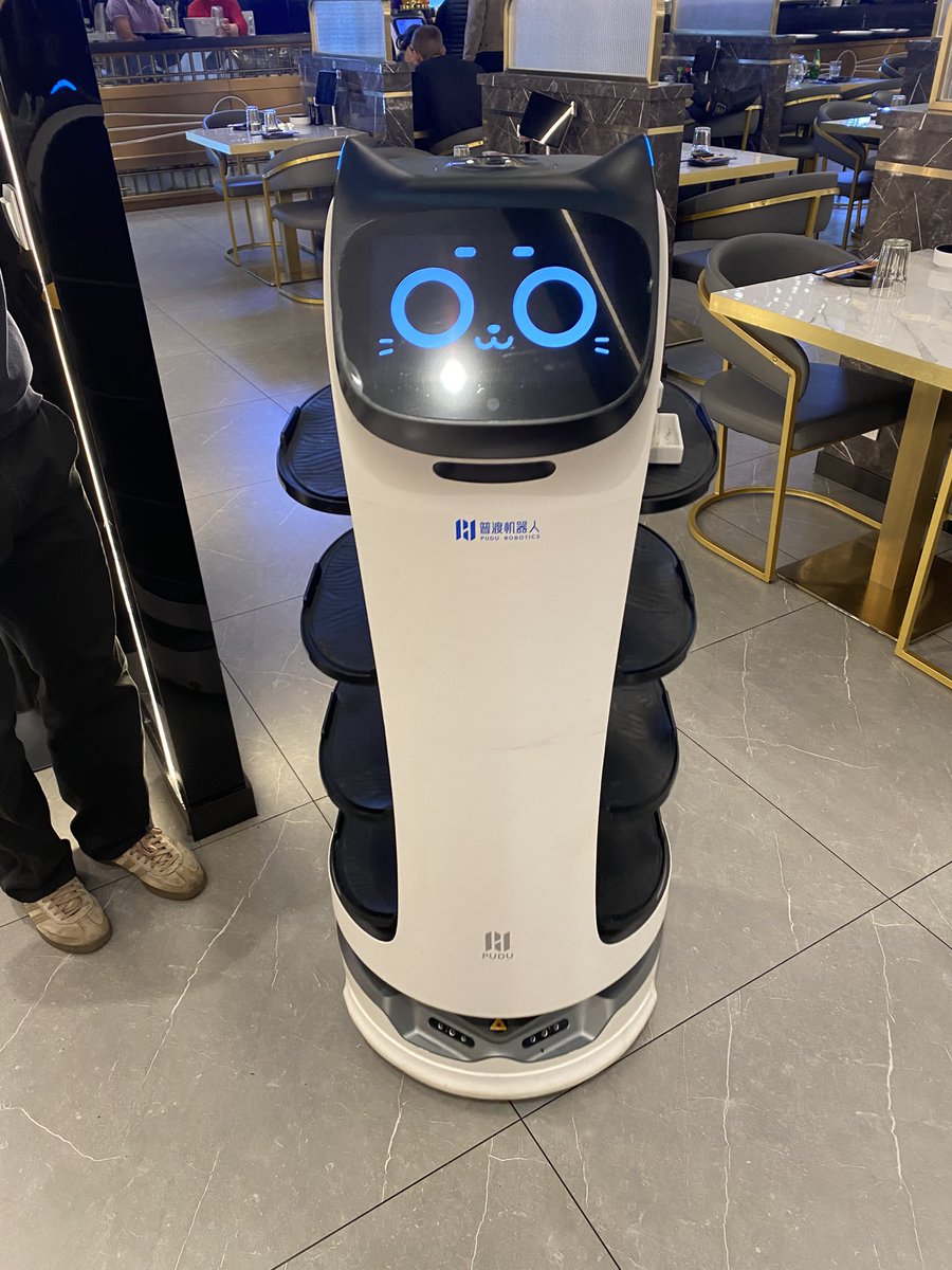 Toad_Beta's tweet image. El gato japonés