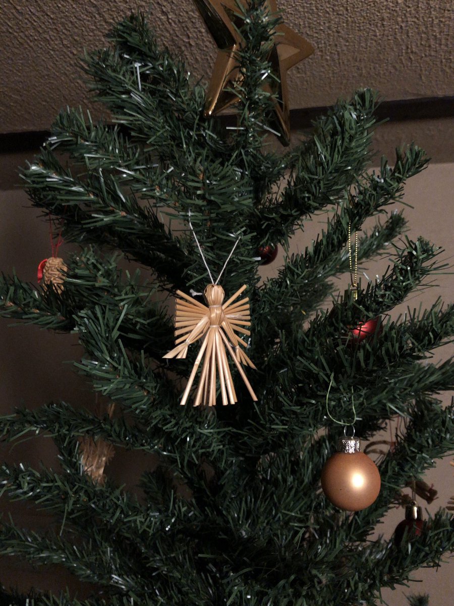 ■ 2025年12月30日(火)
［ 渋谷 公園通りクラシックス ］

　細井徳太郎　guitar <a href="/tokuta6o/">細井徳太郎</a> 
　梅井美咲　　piano
　外山明　　　drums
　遠藤ふみ　　piano

時間｜19:30開場、20:00開演
料金｜4,000円
予約｜koendoriclassics.com/events/3651/