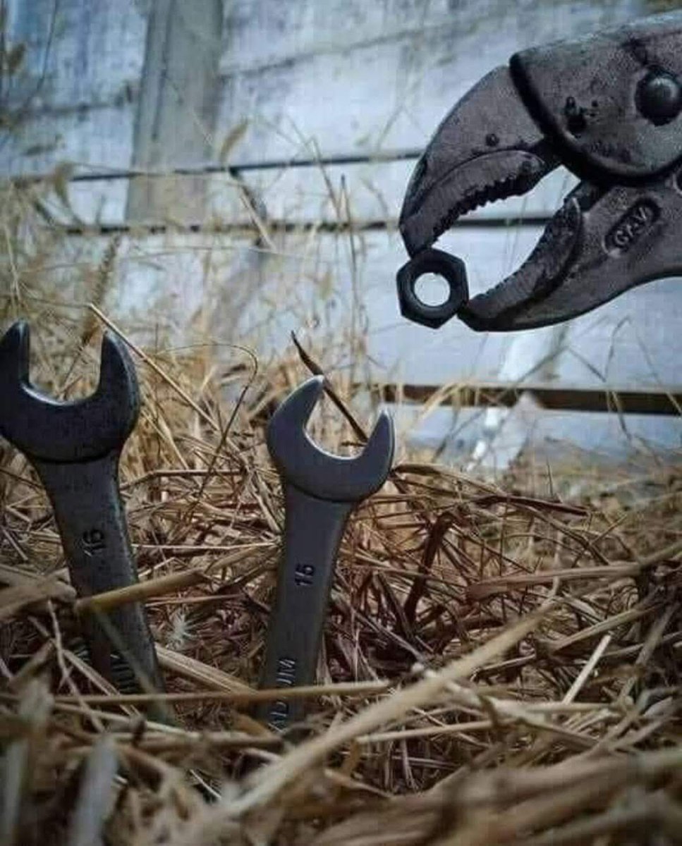 Limitrophes (@limitrophes) on Twitter photo 