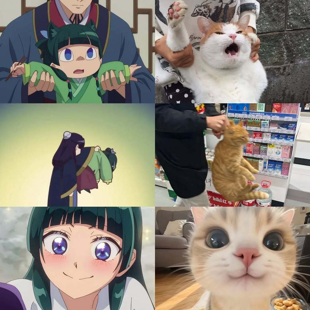 animeposts's tweet image. "Maomao" literally means cat-cat