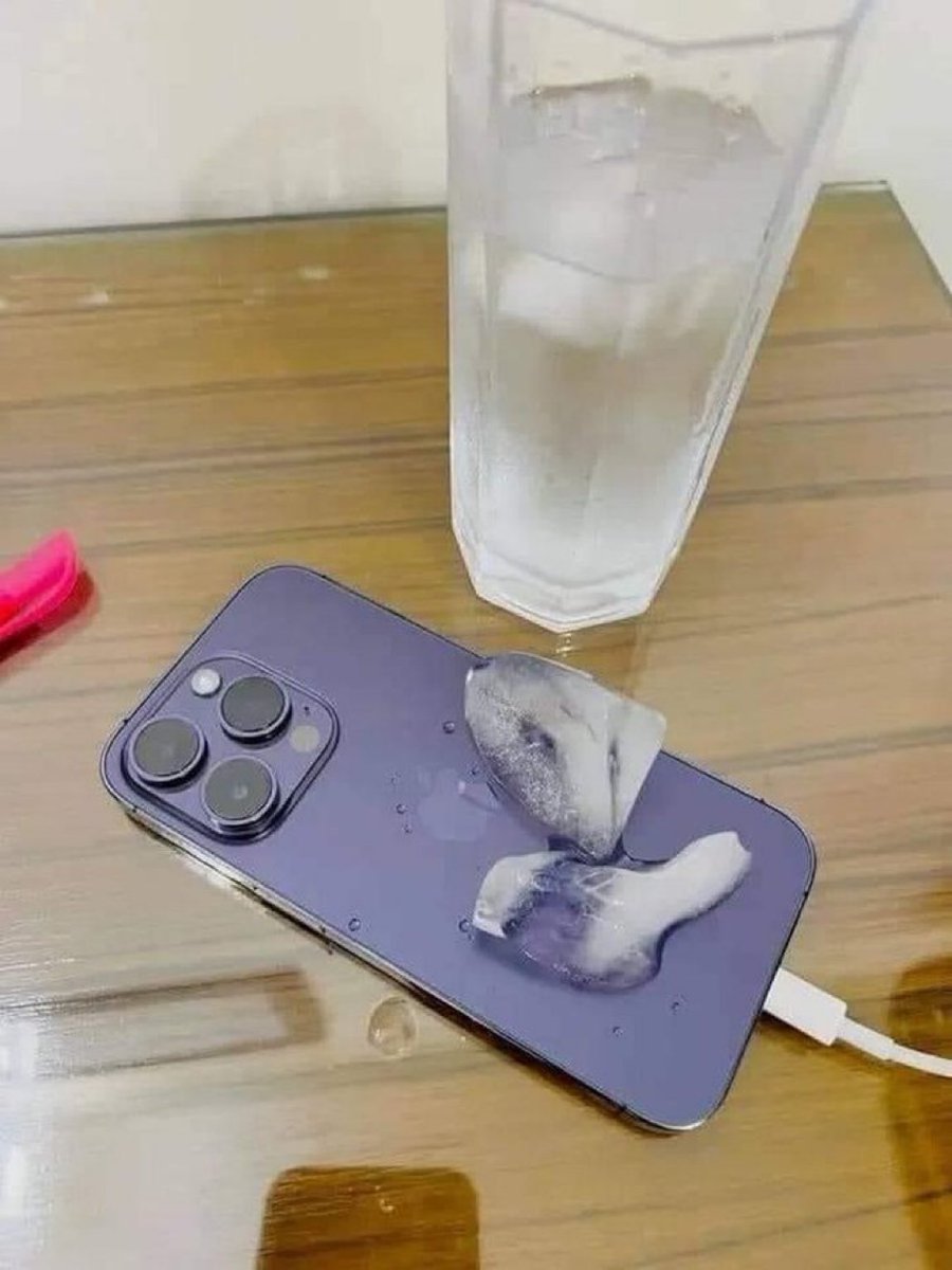 vxlxcsz's tweet image. usuários de iphone nesse calor