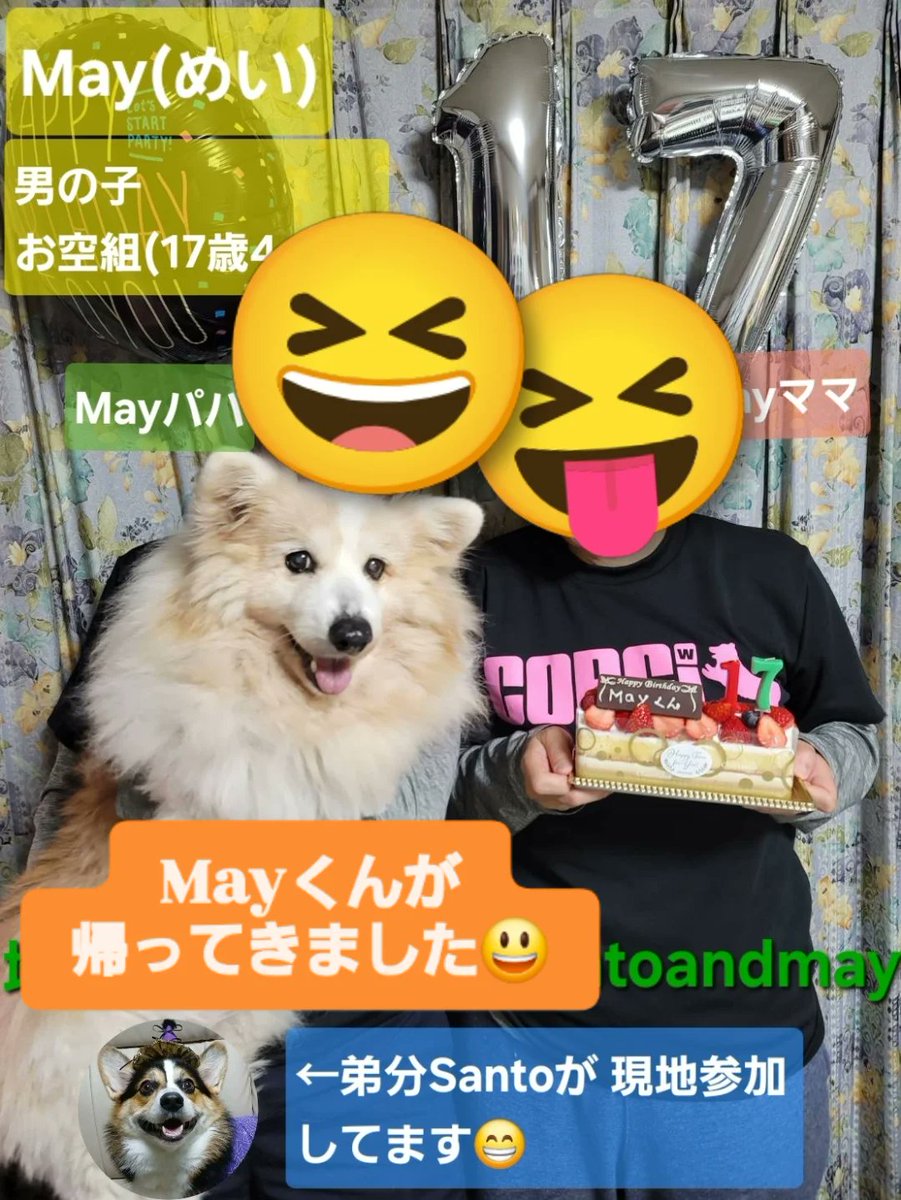【おかえり Mayくん】
『写真でＡＪＣ』に参加していたMayくんが帰ってきました😃
<a href="/ajc202512/">AJC202512</a>
