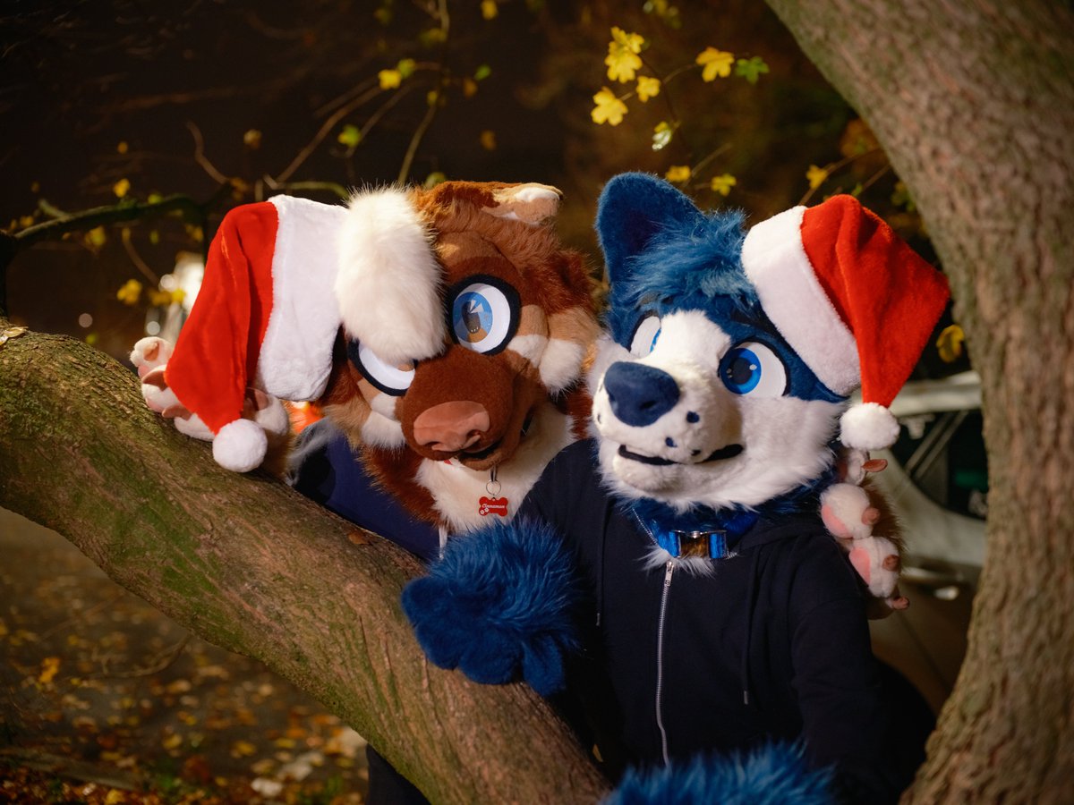 KeksiDragon tweet media