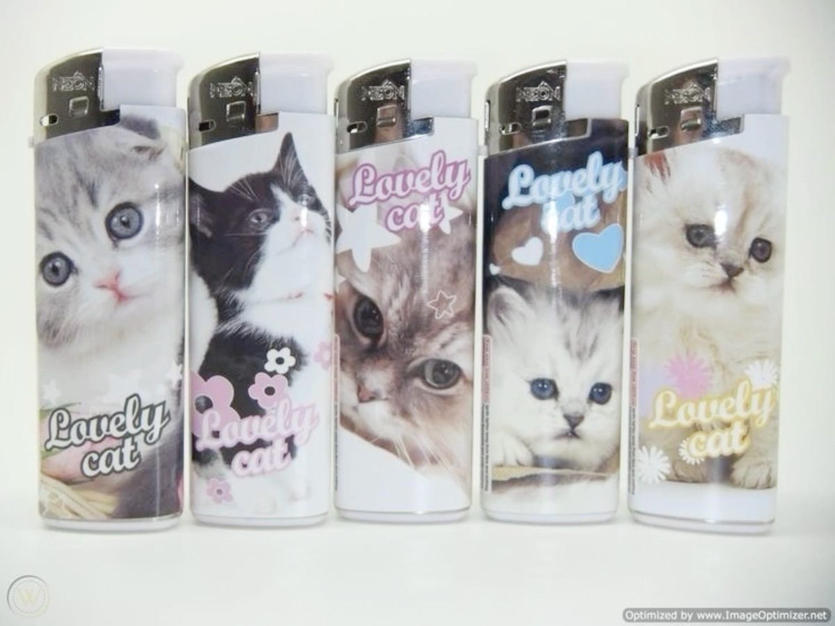 ໒꒱ིྀ༝⁺ tweet media