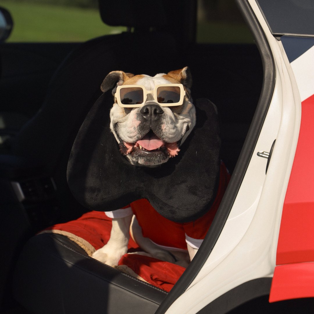 Victor E. Bulldog IV tweet media