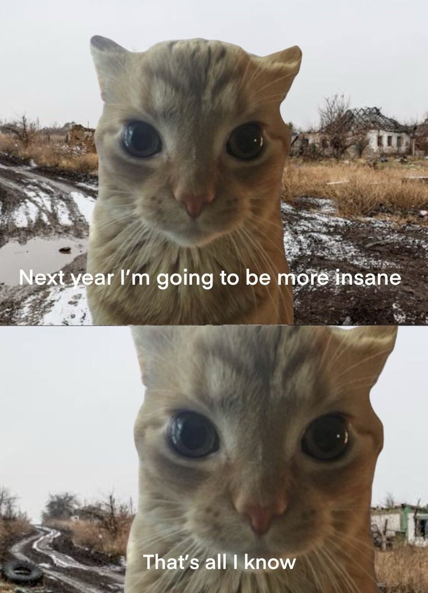 gakstercat's tweet image. 