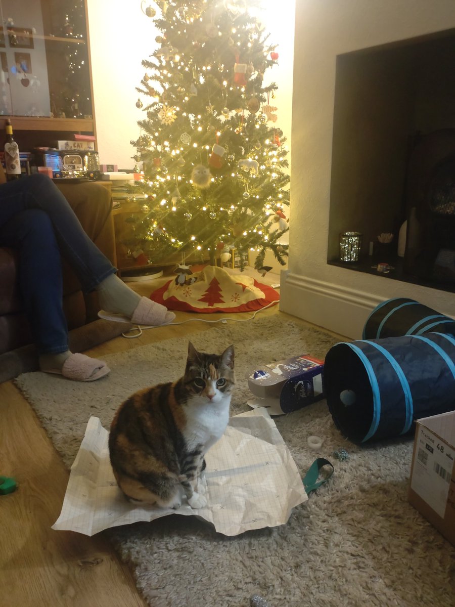 Nick Brook tweet media