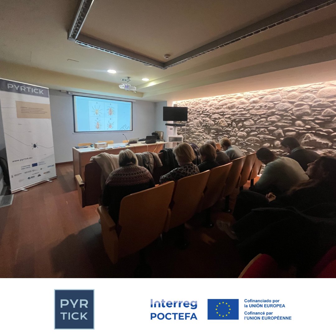 Pyrtick Poctefa tweet media