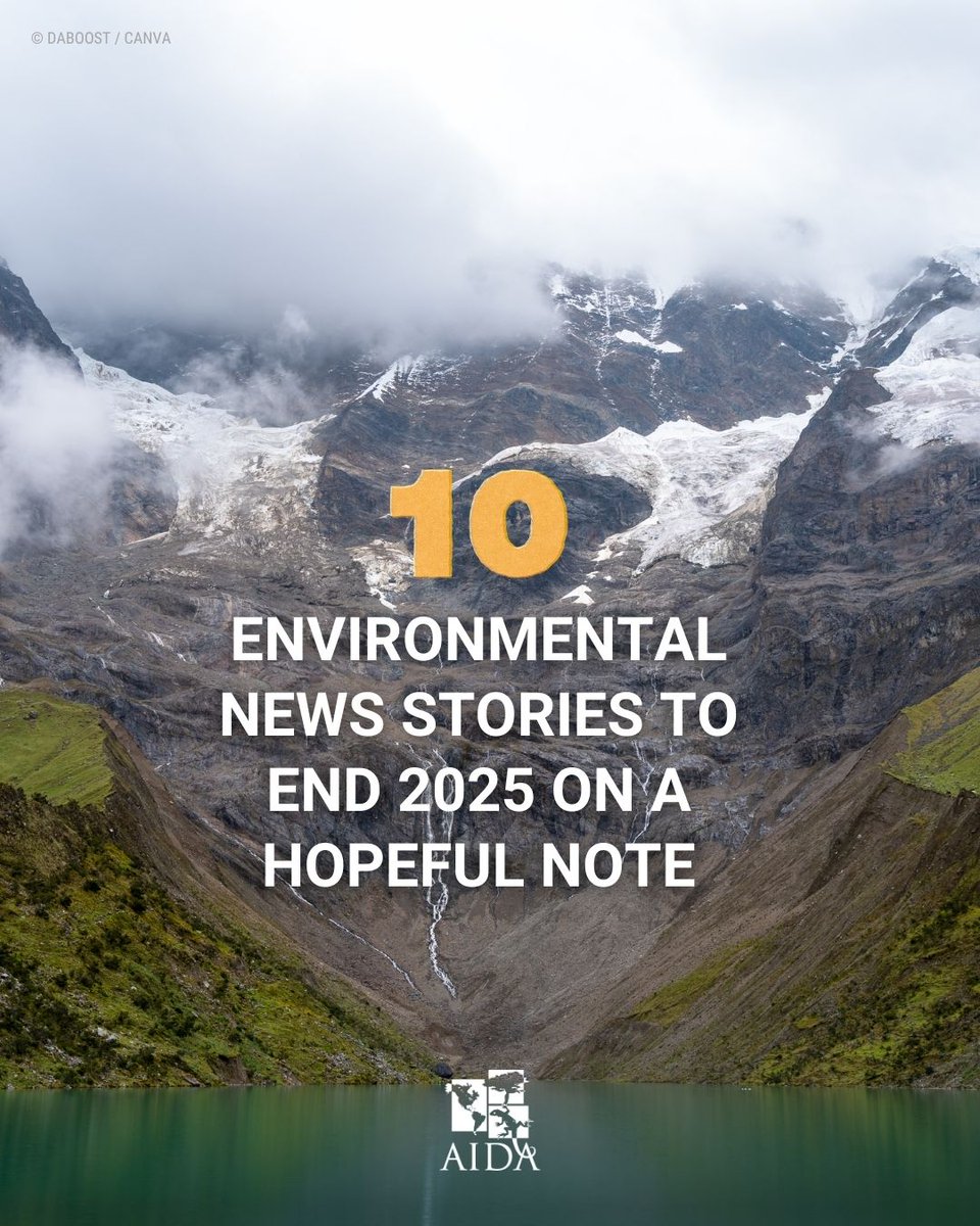 AIDA Americas tweet media