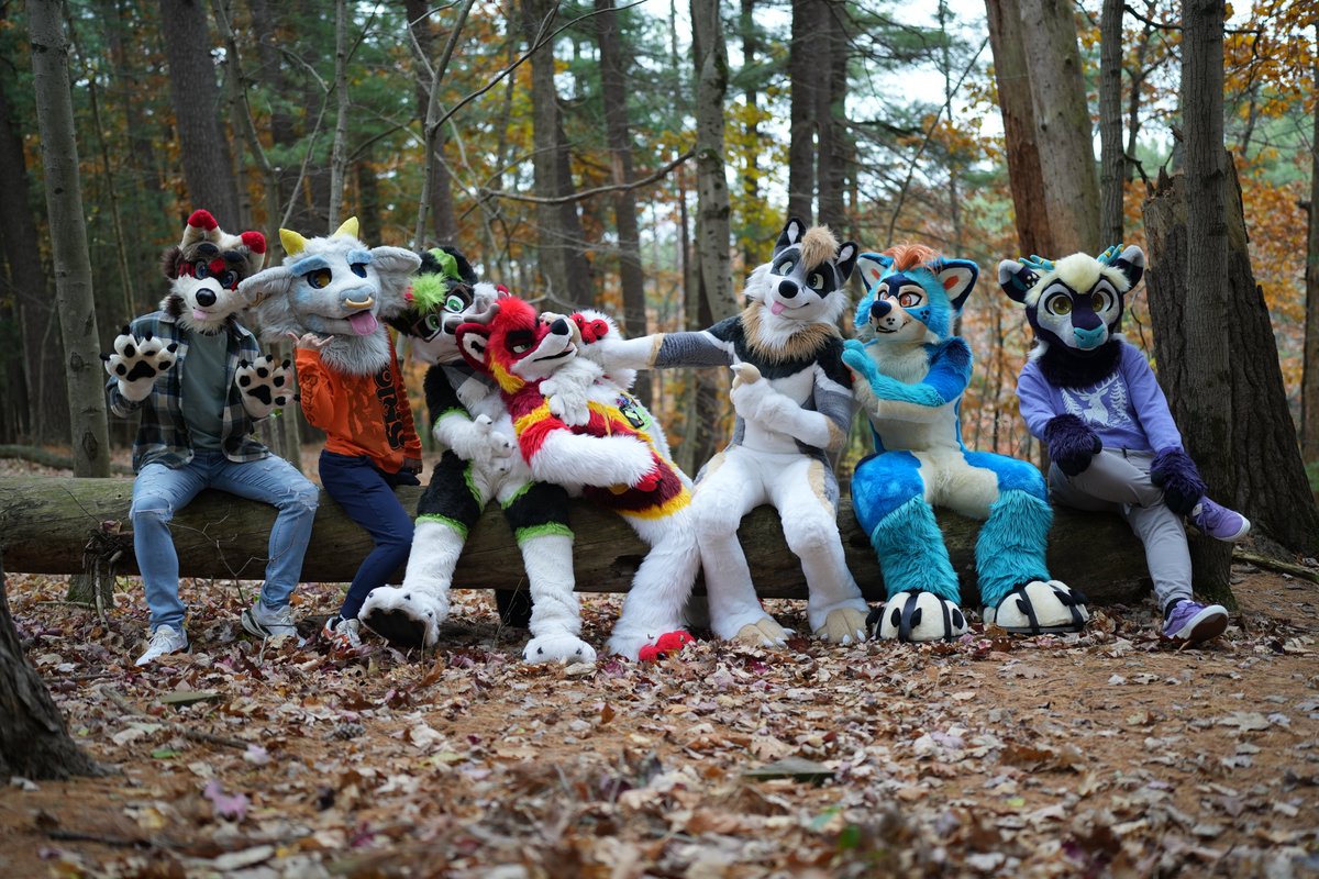 Armin🔜FE tweet media