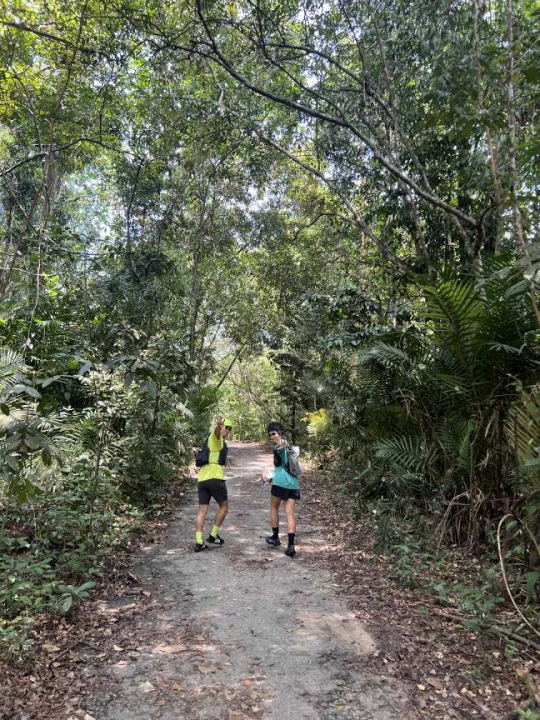 ppyaoao's tweet photo. Today, I went hiking with a friend from the US. It was a nice break from my usual routine. https://t.co/3kJ5a68RQV