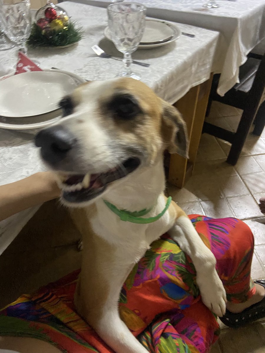 gente ela n aguentou os comentarios sobre estar roliça fez dieta esta magerrima