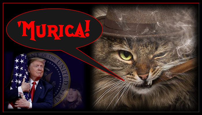 R.O.C.K. in the USSA tweet media