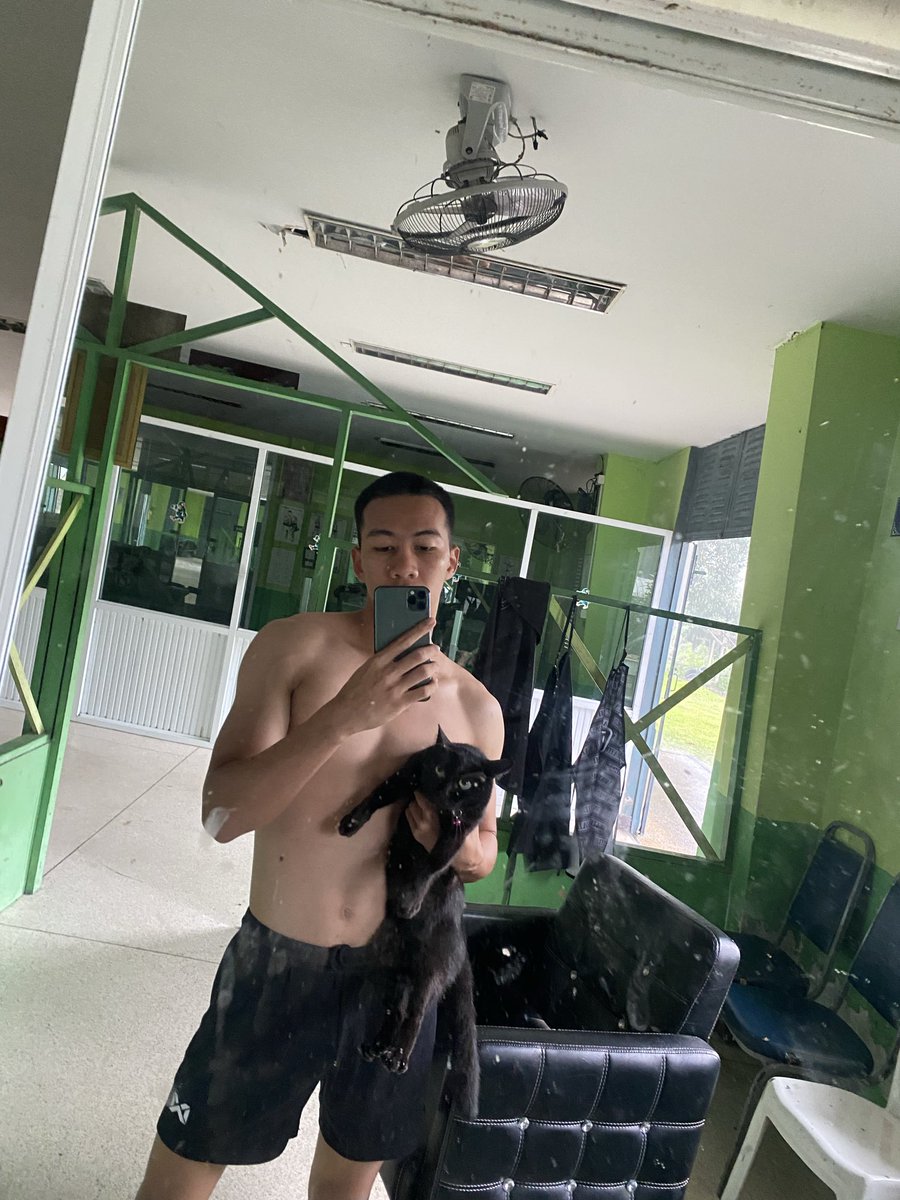 อดใจไม่ไหวเวลาเจอแมว🐈‍⬛