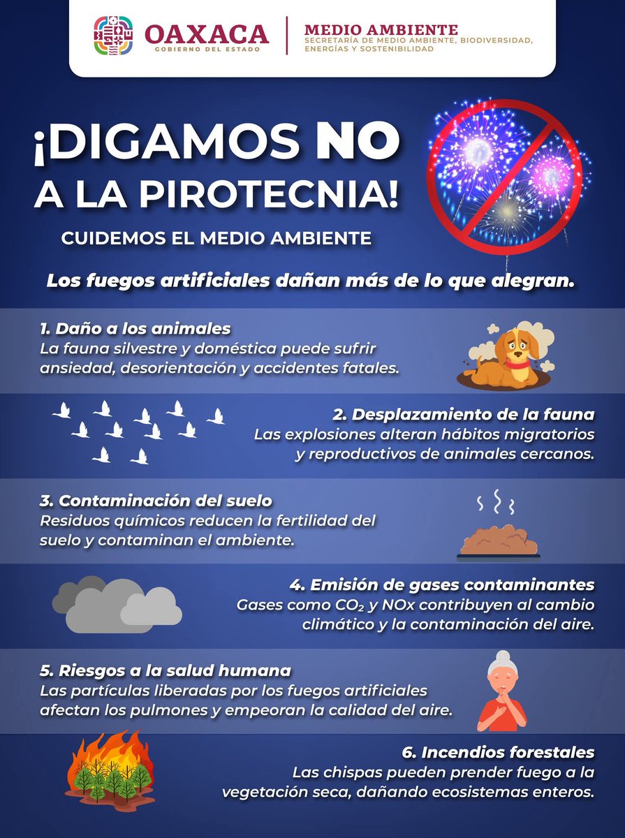 🌿 Cuidemos el ambiente y la vida 🌿

La pirotecnia genera contaminación del aire, afecta a la fauna, pone en riesgo a niñas, niños y personas mayores, y puede causar incendios.

Celebremos de forma responsable: sin pirotecnia, con conciencia.

<a href="/salomonj/">Salomón Jara Cruz</a> 
<a href="/GobOax/">Gobierno de Oaxaca</a>