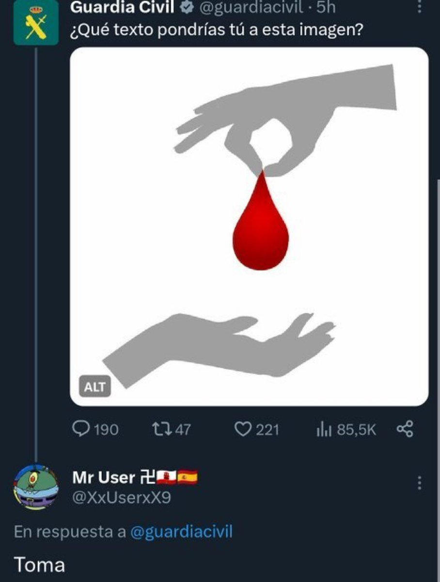 chincheto pirata somali (@wikipistacho) on Twitter photo 