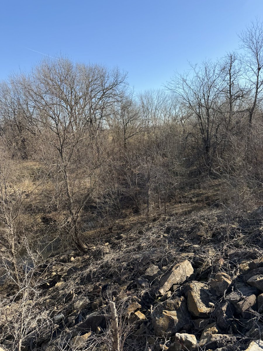 Bryan J Williams, Ed.D. tweet media