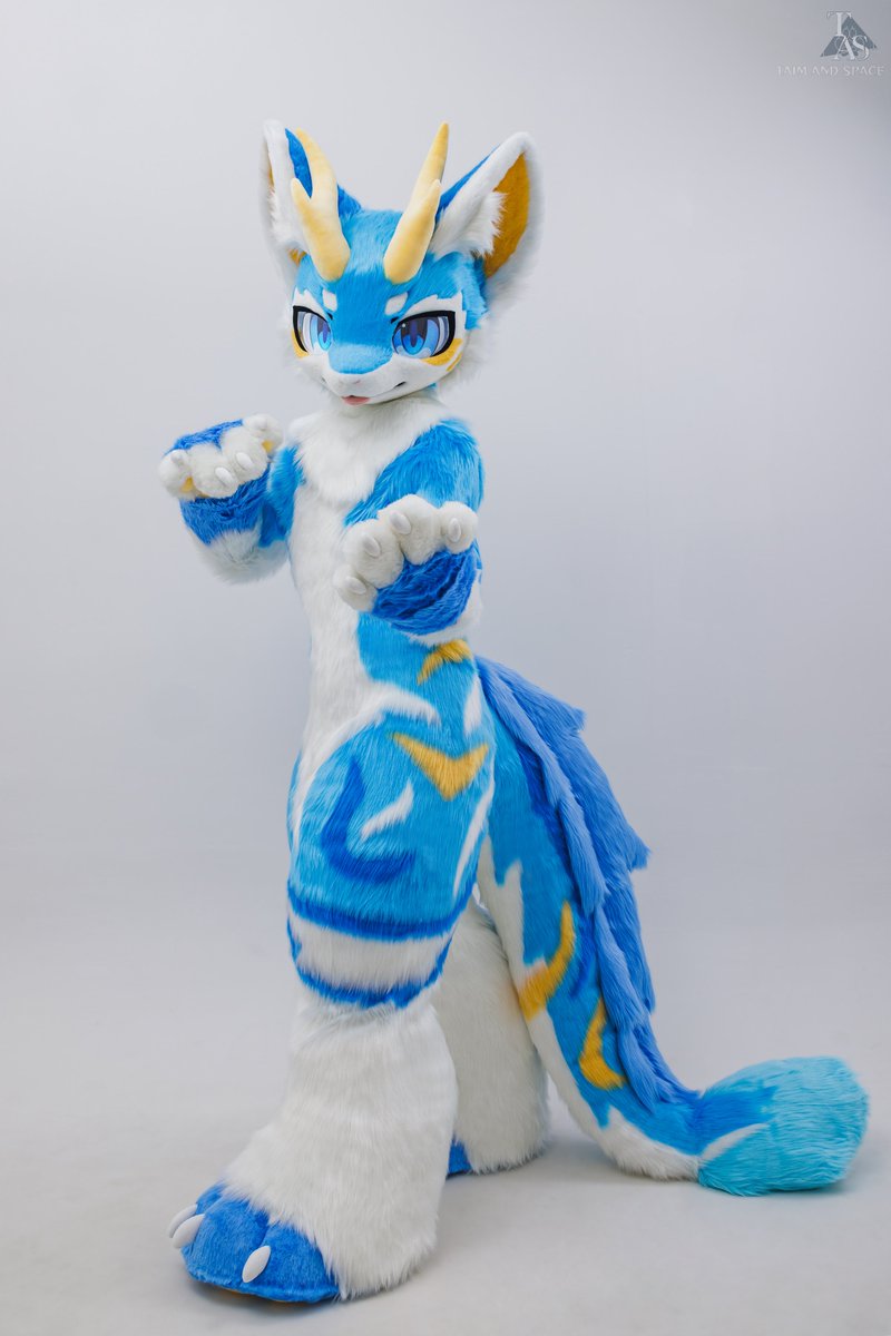 TAS兽化工作室 tweet media