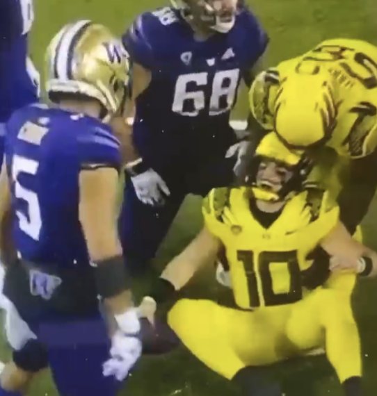 bowdown79's tweet image. Yeah bro's  been bit 3 times don't blame  him