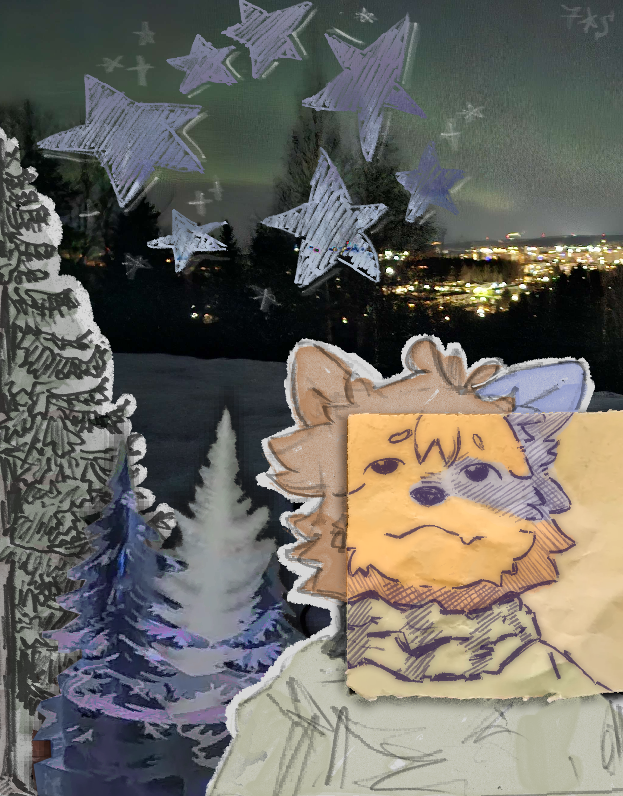 northern lights , northern stars (cçmm)