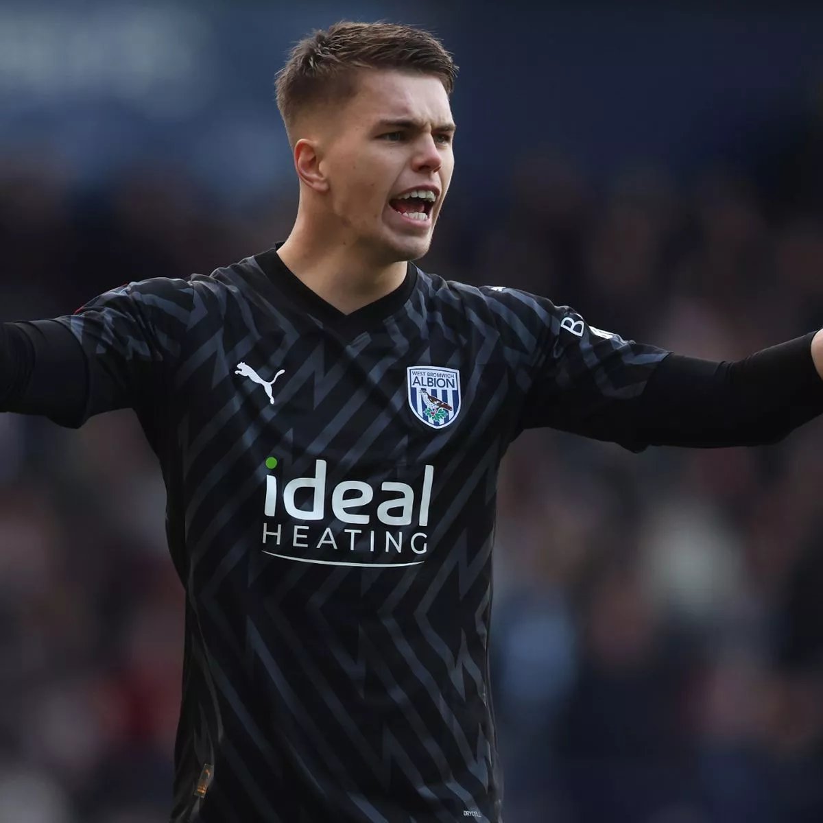 ChampionshpTalk's tweet photo. Ryan Mason is not helping himself picking Joe Wildsmith over Josh Griffiths. 

 Surely Griffiths must start against QPR.  What did he even do wrong?    #wba https://t.co/npwE2c5PWP