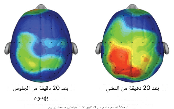 AlHalafib's tweet photo. الأغنياء يجمعون ساعات فاخرة.

أنا أجمع نماذج ذهنية مفيدة — قواعد بسيطة وخالدة تسهّل اتخاذ القرار.

أقوى 7 نموذج ذهني (وممكن تكون خطيرة) صادفتها:

1. قوة المشي https://t.co/mqwh0PbLg6