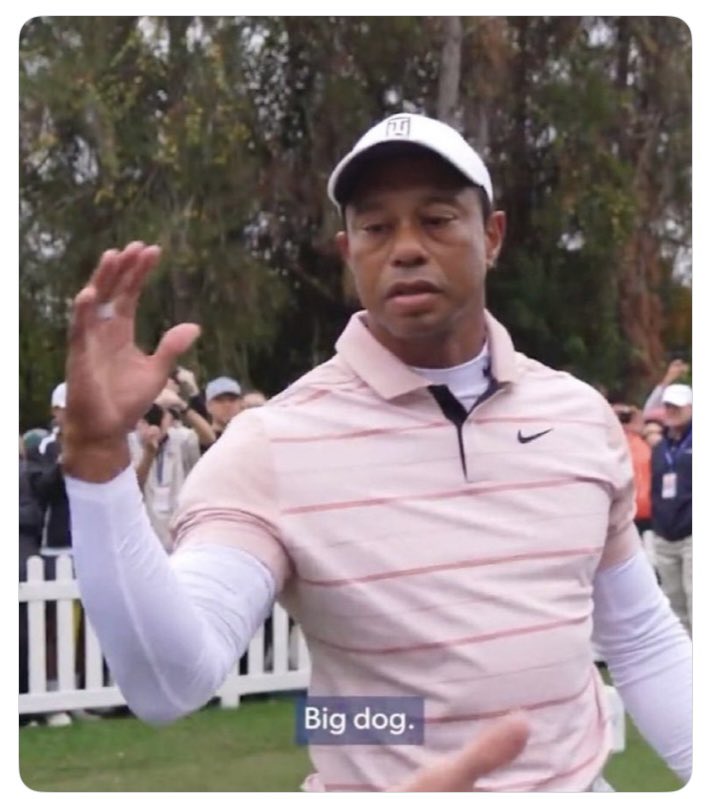 quantitudethepodcast tweet media