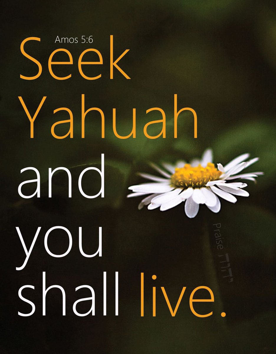 Tee Robins tweet media