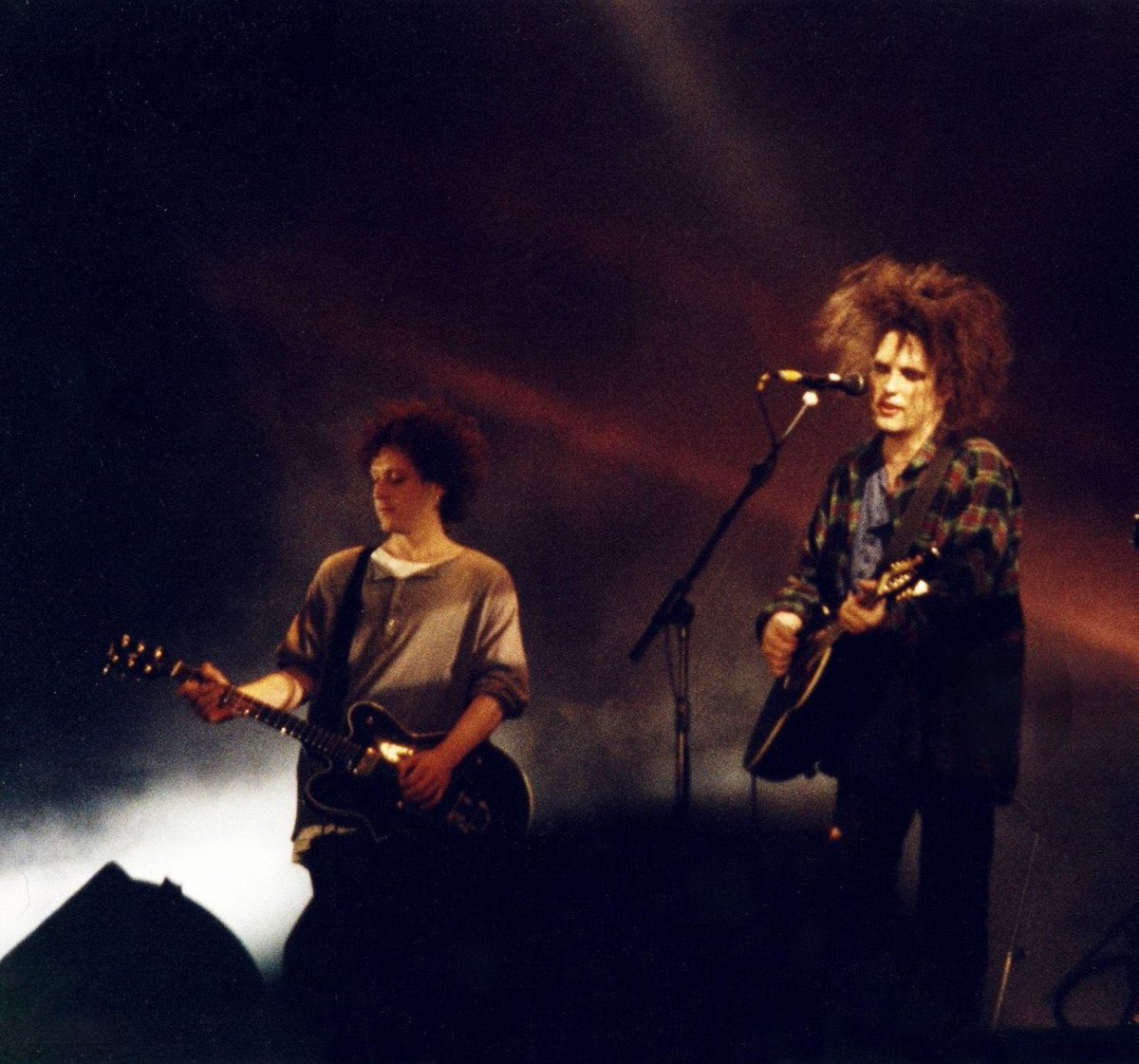 RADIOLARIA tweet media