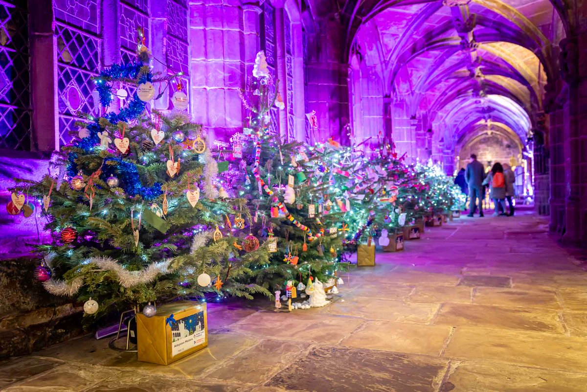 ๐ผ๐๐๐ ๐ฒ๐๐๐๐๐๐ tweet media