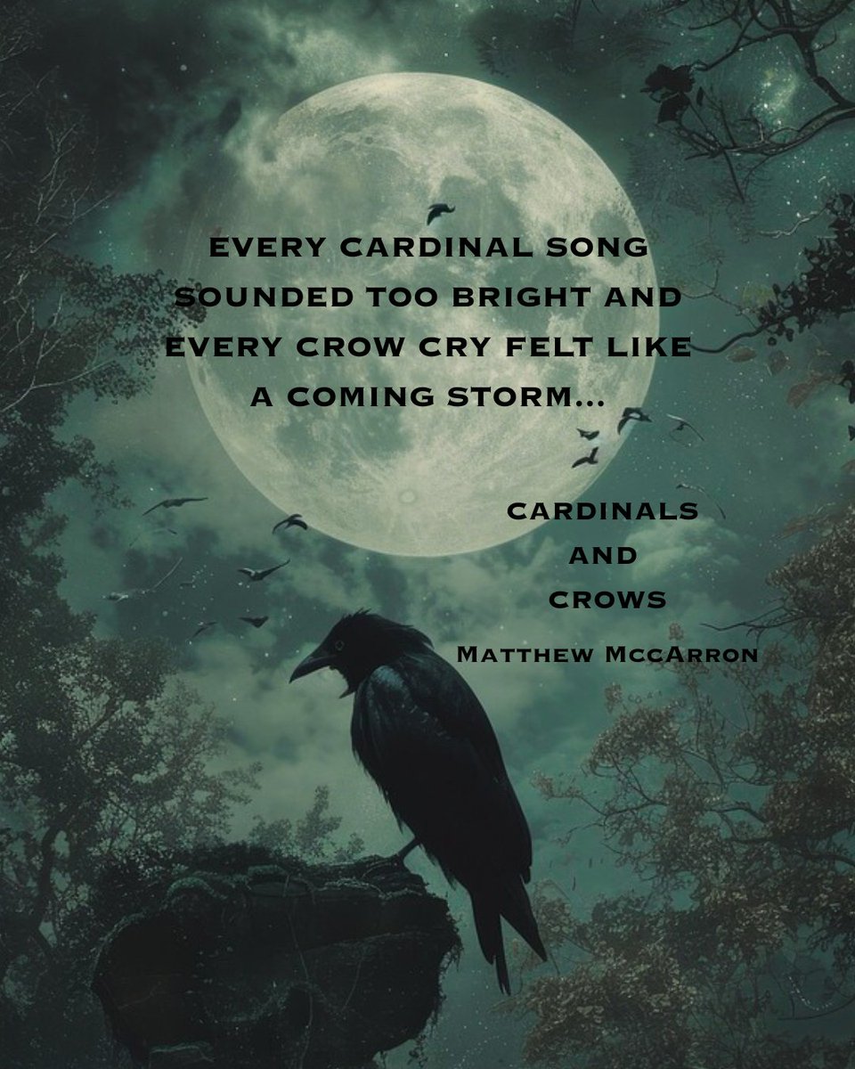 cardinalscrows's tweet photo. Every crow cry felt like a warning.

#CardinalsAndCrows #DarkFiction #HorrorBooks https://t.co/W4XRjbTjBJ