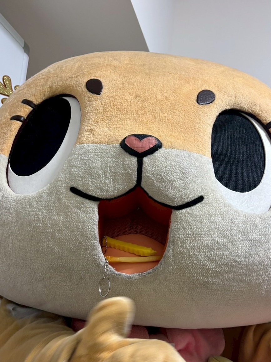 公式：ちぃたん☆大阪 (@Chiitan_Osaka) / Posts / X