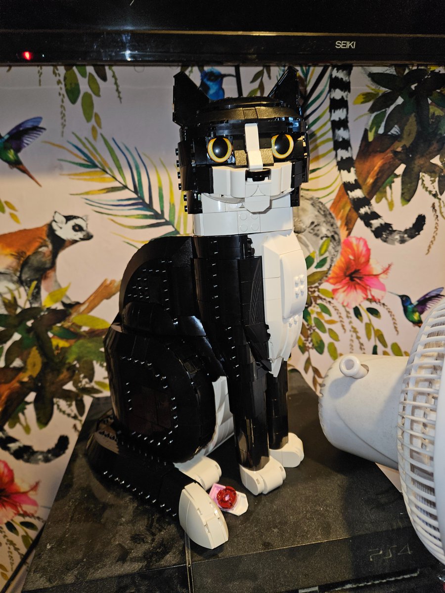 Kilos (@kilosfoxo) on Twitter photo 