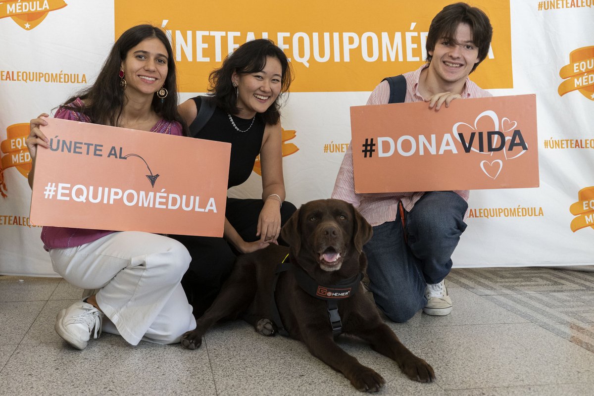 EquipoMedula's tweet photo. Juntos somos más fuertes. 💪 Gracias por formar parte. #SumaVidas
ℹ️ Más información en:
👉 https://t.co/2l86bgSGQW https://t.co/zlO5u3cLh6