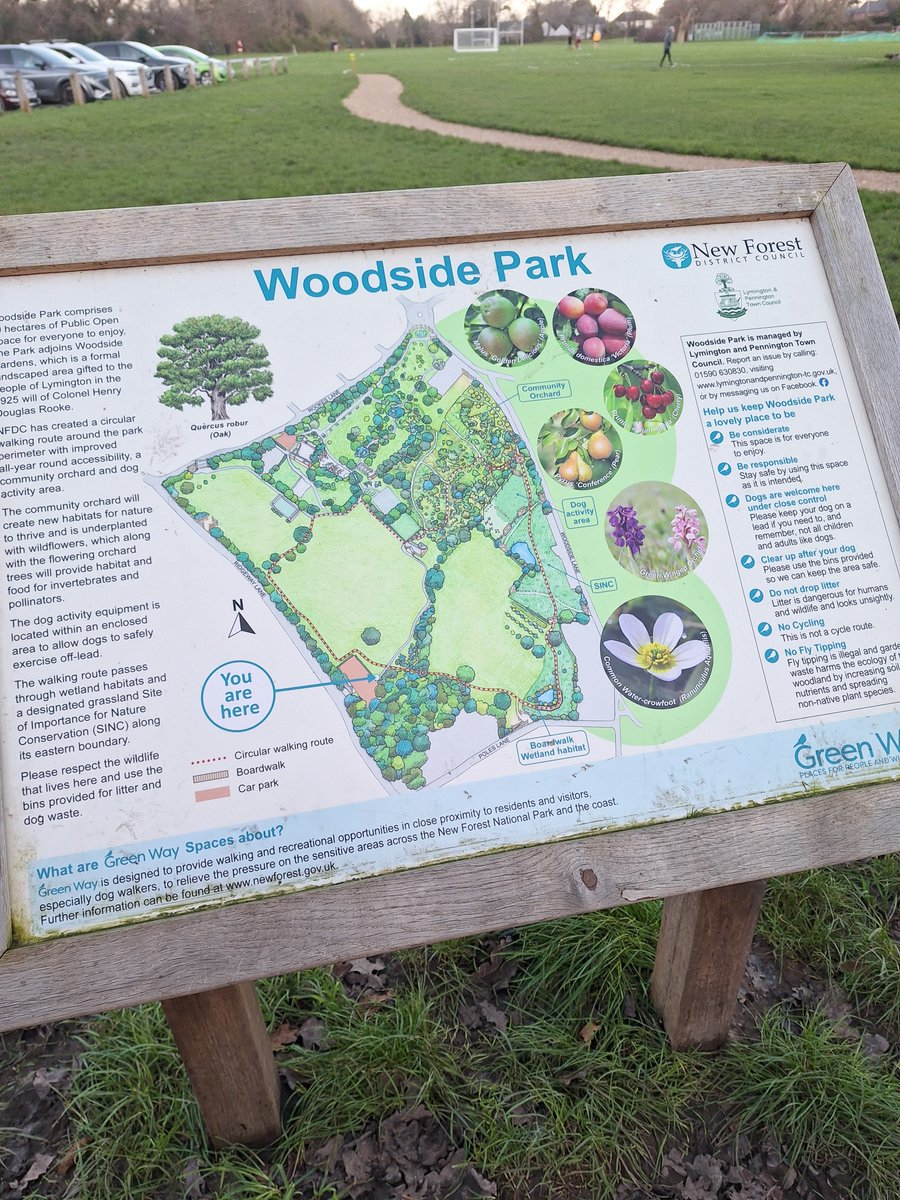 Das Stevens tweet media