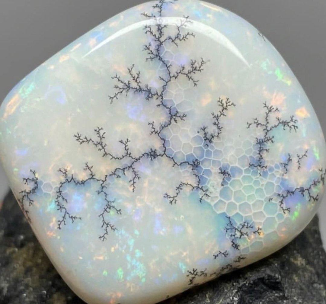 histories_arch's tweet image. Dendritic opal is one of nature’s most mesmerizing creations, often called “the stone of growth.” Unlike precious opal, it doesn’t flash rainbow colors but captivates with its milky-white base and dark, tree-like inclusions known as dendrites.

These intricate patterns are formed…