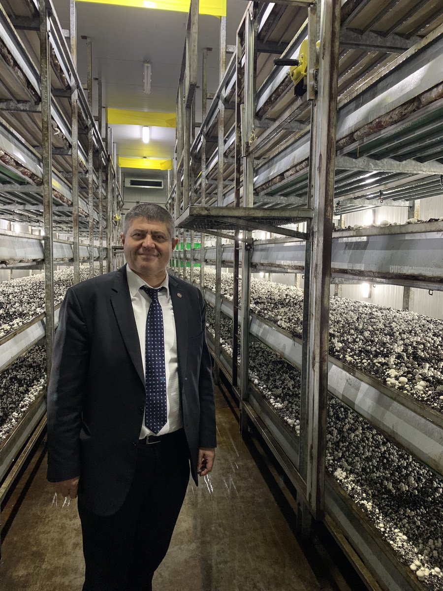 Mustahattin Can Selçuk (@mustahattincan) on Twitter photo 