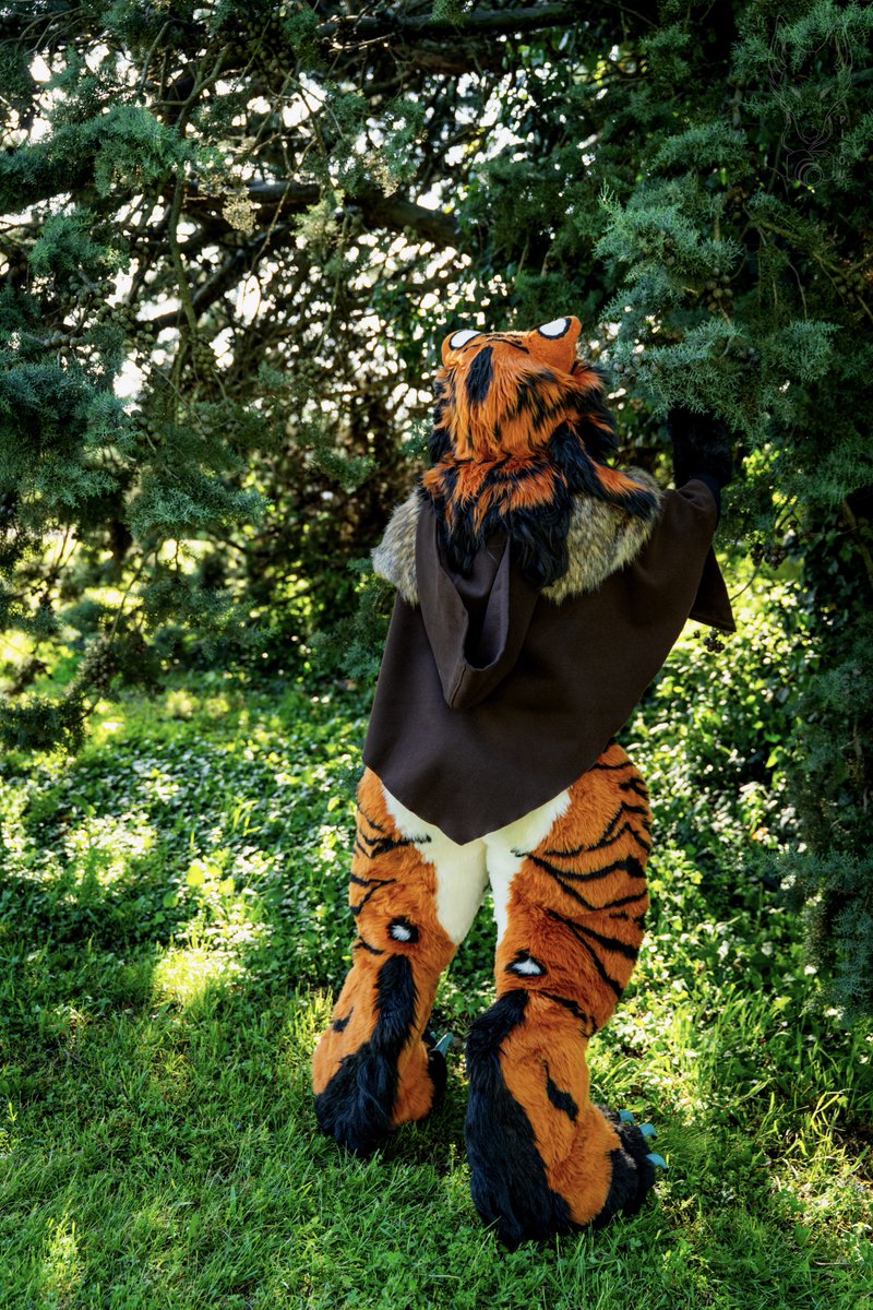 That 2026 holds even more surprises and the fulfillment of a waking dream ! 

See you sooooon ! ✨👌🏻

#fursuit #FursuitFriday