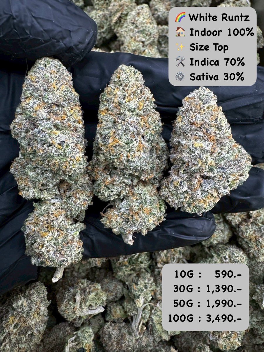 🎉🙏🏻ปีใหม่หัวหินนัดรับ ส่งแกรปได้นะจ้า 
🚛ส่งของทุกวัน
ส่งทั่วประเทศ

Line ID:  @575briih (มี@ข้างหน้า)
กดลิ้งแอดูไลน์👉 lin.ee/Vuy9cdu
#ร้านกัญชา #กัญชาโอจี  #กัญชาออแกนิค  #กัญชาหัวหิน  #WeedShopHuaHin #CannabisThailand  #HuaHinCannabis #weed #ร้านกัญชาใกล้ฉัน