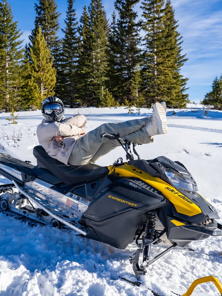 Nathan webb tweet media